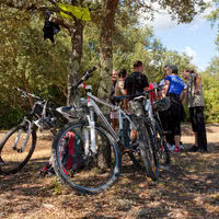 Incentive au pont du gard