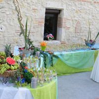 Buffet dinatoire sur notre terrasse