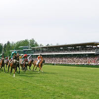 Hippodrome de l'Isle Briand