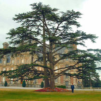 Château de la Turmelière