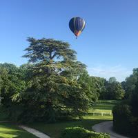 Le Parc de 4 Hectares