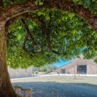 Domaine de Mauprié
