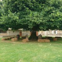 Espace jardin
