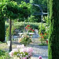 Une Campagne en Provence