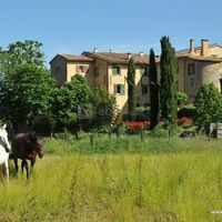 Une Campagne en Provence