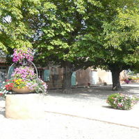 Domaine des Puits de Rians