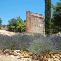 Domaine des Puits de Rians
