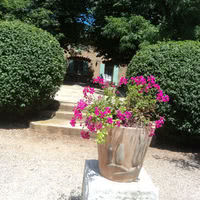 Domaine des Puits de Rians