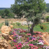 Domaine des Puits de Rians