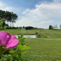 Les Gites du Parc d'Albosc