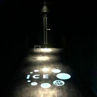 CGR Tours 2 Lions