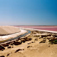 Salins