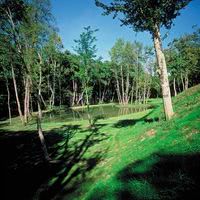 Parc du château
