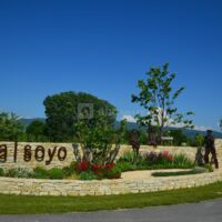 Valsoyo
