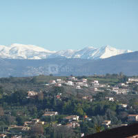 La Bastide des Mimosas