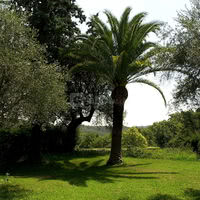 Parc