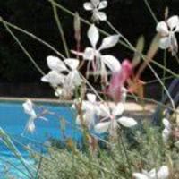 Le Devem du Mirapier