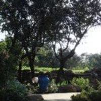 Le Devem du Mirapier