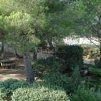 Le Devem du Mirapier