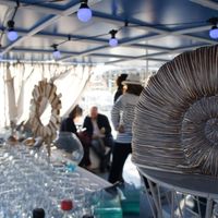 Croisières Marseille Calanques