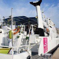 Croisières Marseille Calanques