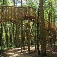 Sentier forestier