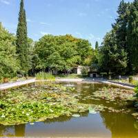 Le bassin