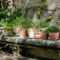 Terrasse Exterieure