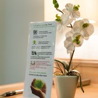 Développement durable
