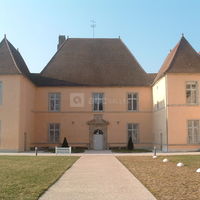 Château de pelousey