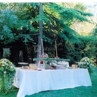Buffet dans le parc