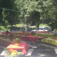 Sous les grands frênes