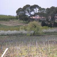 Le site de la font du loup, lieu du premier hospital des hospitaliers