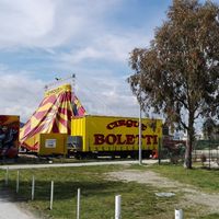 Spectacles de cirque