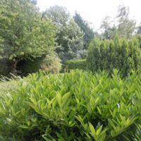 Le Jardin de Marolles