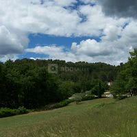 Au coeur de la nature