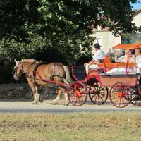 Les mariés arrivent en calèche !!
