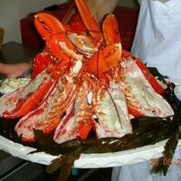Les Filets Bleus