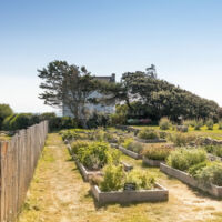 Notre jardin