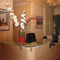 Alpha Forum Etoile