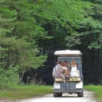 La forêt des princes en golfette