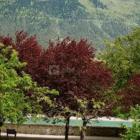 Château d'Herbelon