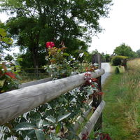 Manoir de la Haute Pilais
