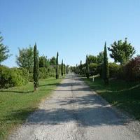 L allée