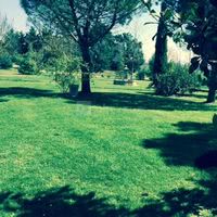 Au fond du jardin une fontaine