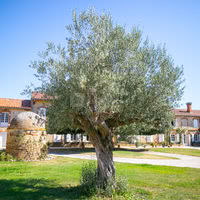 Domaine de Galant