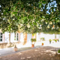 Domaine de Galant