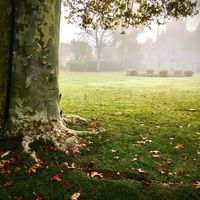 Domaine de Montigny-le-Gannelon