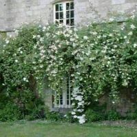 Abbaye de Sainte-Croix