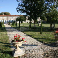 Vue du jardin privé de derrière